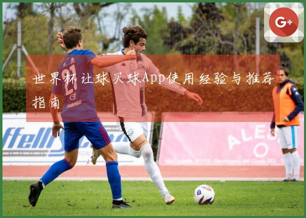 世界杯让球买球App使用经验与推荐指南