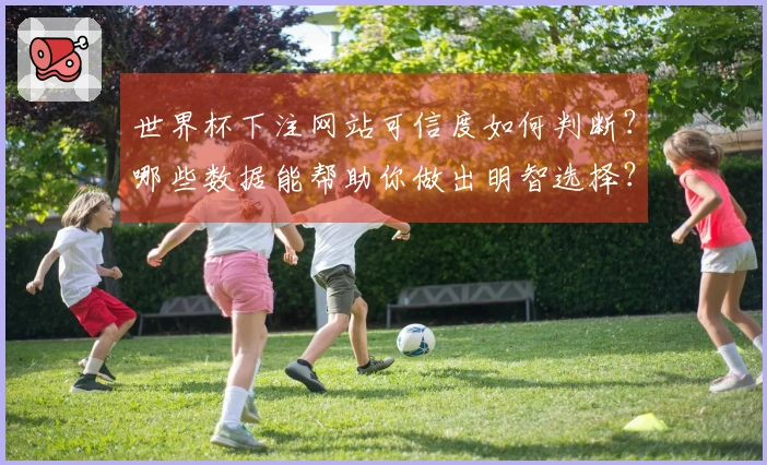 世界杯下注网站可信度如何判断?哪些数据能帮助你做出明智选择?