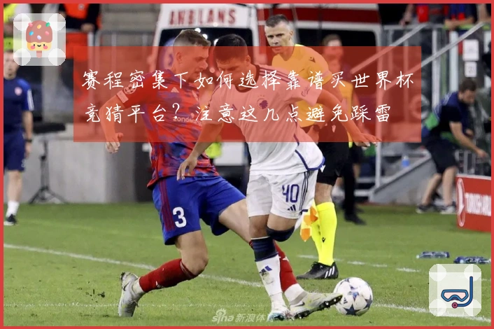 赛程密集下如何选择靠谱买世界杯竞猜平台？注意这几点避免踩雷