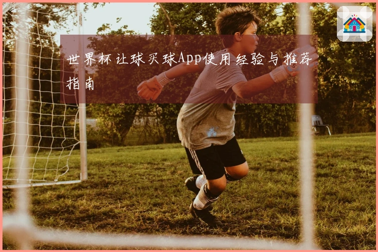 世界杯让球买球App使用经验与推荐指南