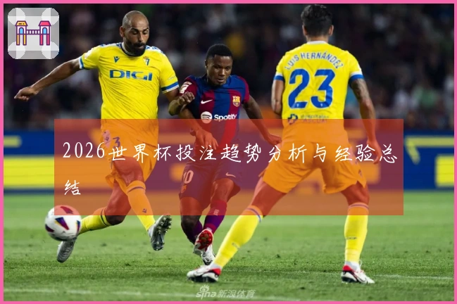 2026世界杯投注趋势分析与经验总结