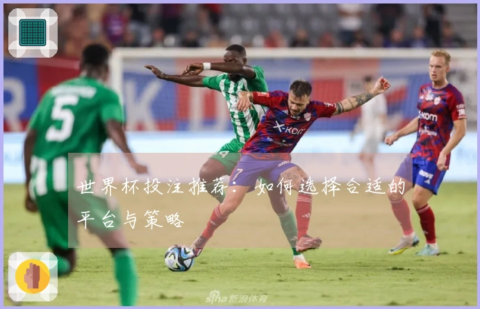 世界杯投注推荐:如何选择合适的平台与策略