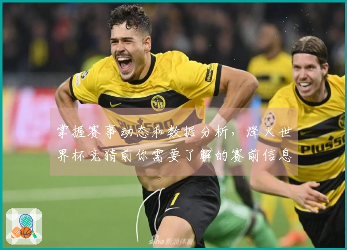 掌握赛事动态和数据分析，烽火世界杯竞猜前你需要了解的赛前信息注意事项